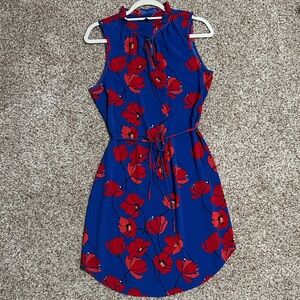 41 Hawthorn Blue and Red Floral Mini Dress